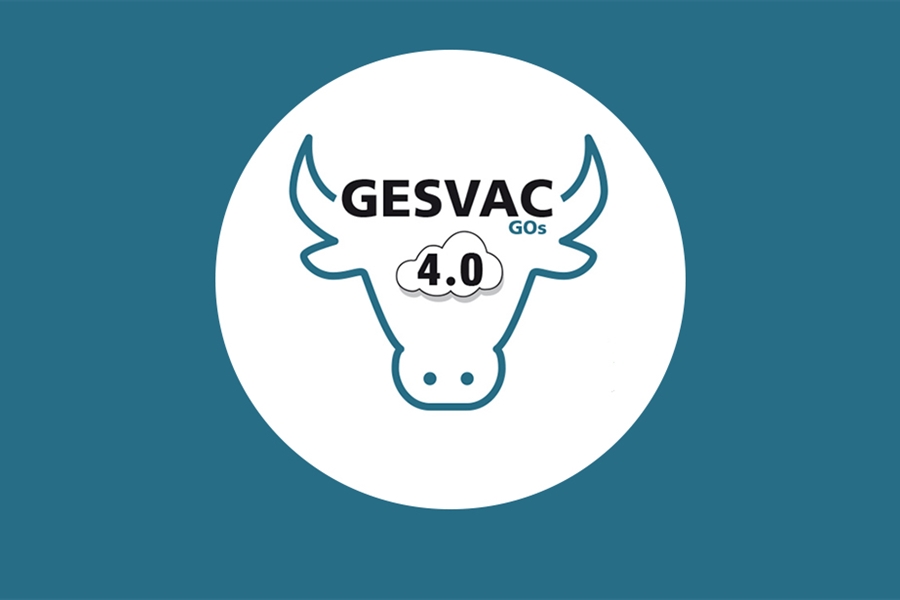El GO GESVAC4.0 celebra su primera reunión para desarrollar un sistema...