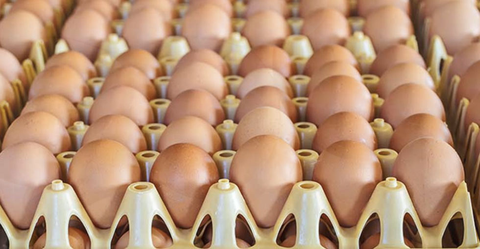 #RealidadGanadera Aseprhu: �Hablamos del futuro de la ganader�a?