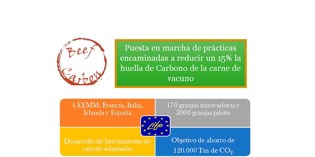 Asoprovac disea un plan para mitigar la huella de carbono en la...