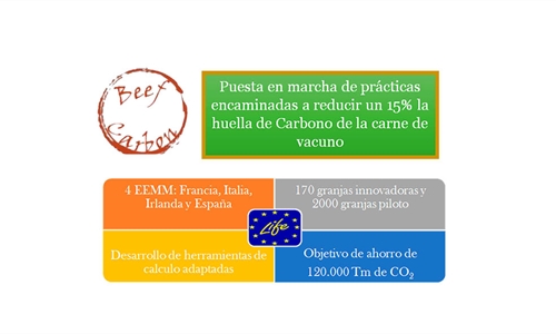 Asoprovac disea un plan para mitigar la huella de carbono en la...