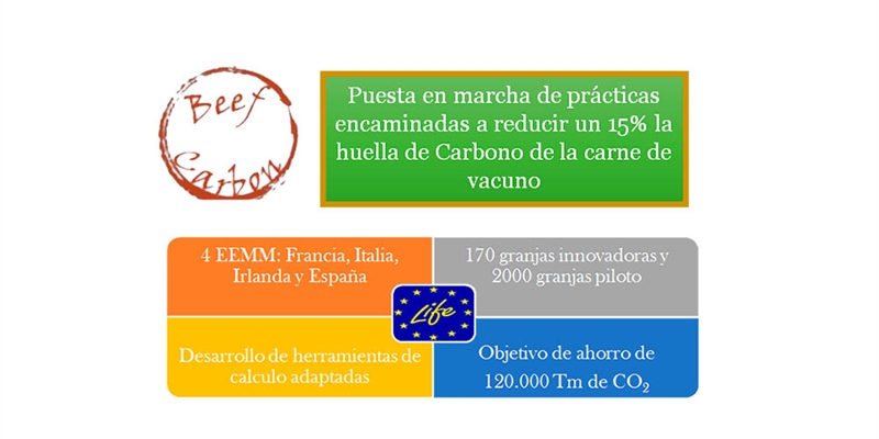 Asoprovac disea un plan para mitigar la huella de carbono en la produccin de carne de vacuno