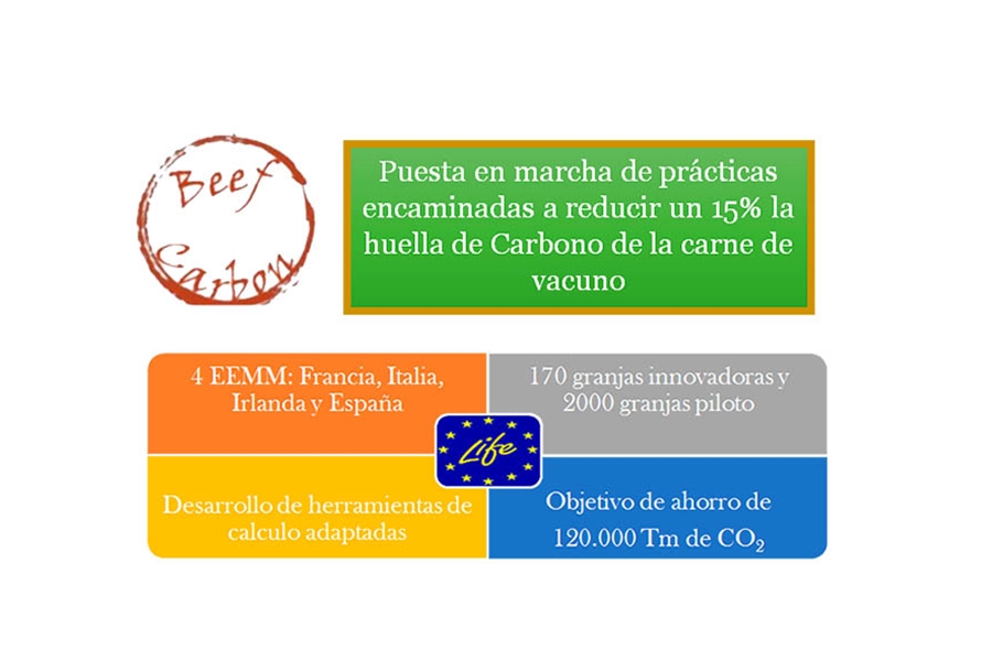 Asoprovac disea un plan para mitigar la huella de carbono en la...