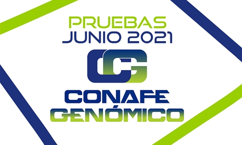 Nuevas pruebas CONAFE Junio 2021