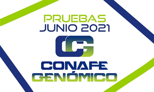Nuevas pruebas CONAFE Junio 2021