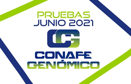 Nuevas pruebas CONAFE Junio 2021