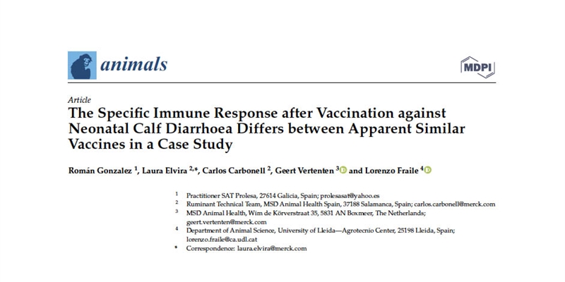 Nuevo estudio publicado en la revista cientfica internacional Animals sobre Bovilis Rotavec Corona, de MSD Animal Health