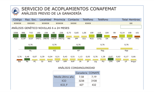 Qu limitacin tendra en su valoracin gentica una vaca o novilla...