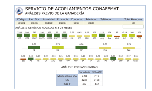 Qu limitacin tendra en su valoracin gentica una vaca o novilla...