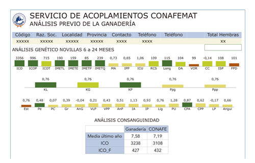 Qu limitacin tendra en su valoracin gentica una vaca o novilla...