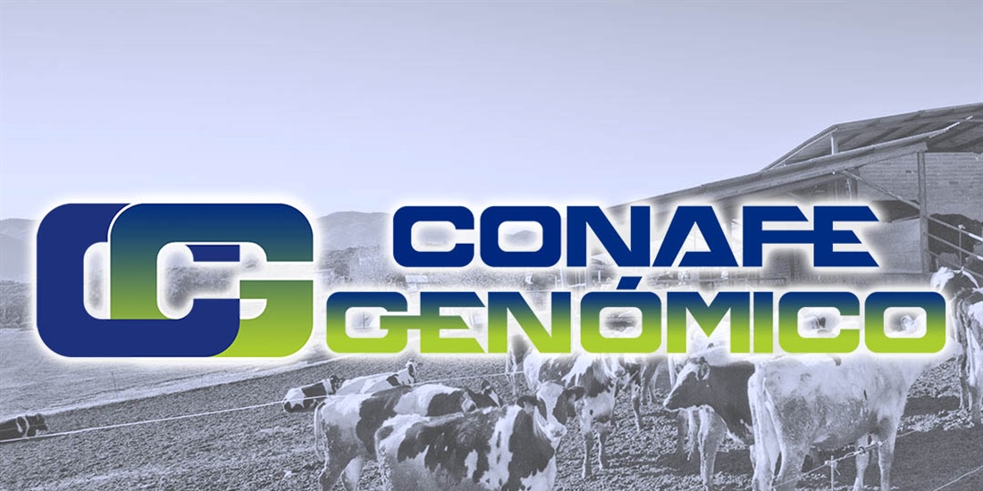 Actualizacin de las pruebas genmicas de Hembras CONAFE Julio 2021