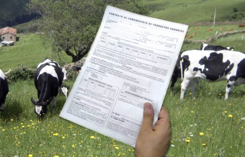 COAG exige revisar todos los contratos de leche entre ganaderos e industria