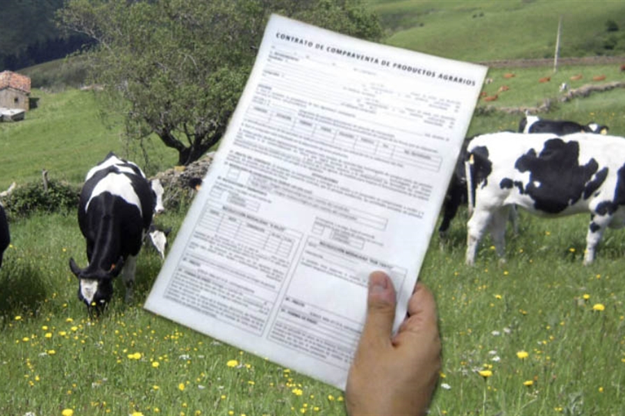 COAG exige revisar todos los contratos de leche entre ganaderos e industria