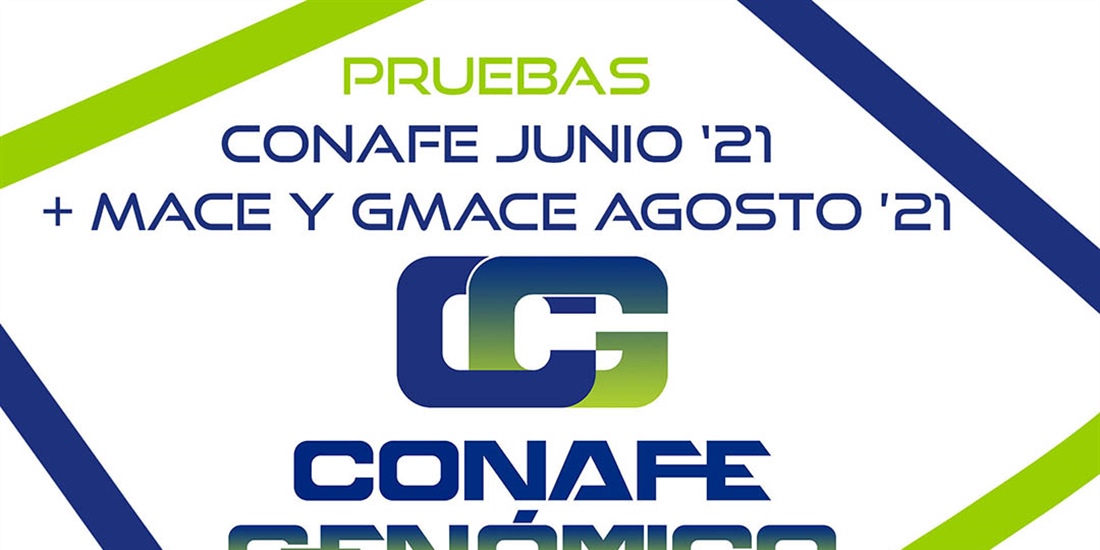 Nuevas pruebas CONAFE Junio 2021 + MACE y GMACE Agosto 2021