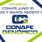 Nuevas pruebas CONAFE Junio 2021 + MACE y GMACE Agosto 2021