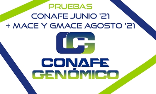 Nuevas pruebas CONAFE Junio 2021 + MACE y GMACE Agosto 2021