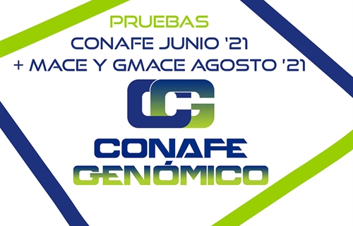 Nuevas pruebas CONAFE Junio 2021 + MACE y GMACE Agosto 2021