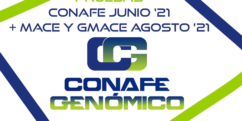 Nuevas pruebas CONAFE Junio 2021 + MACE y GMACE Agosto 2021