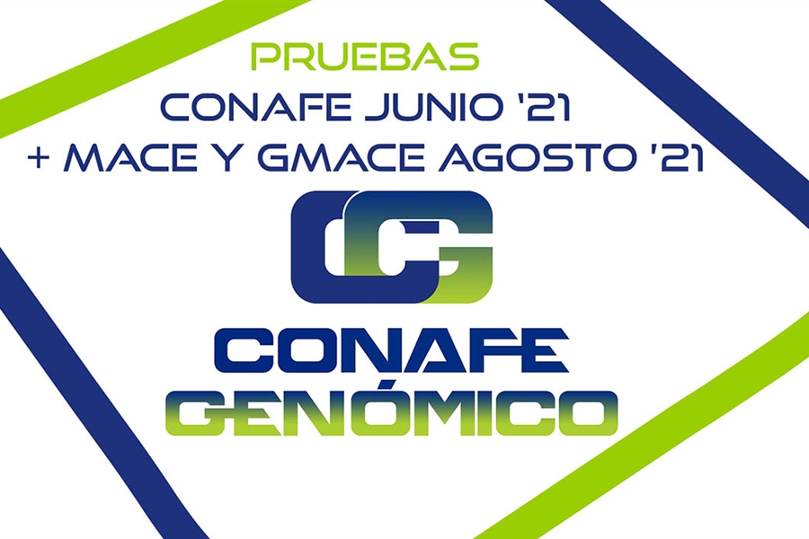 Nuevas pruebas CONAFE Junio 2021 + MACE y GMACE Agosto 2021