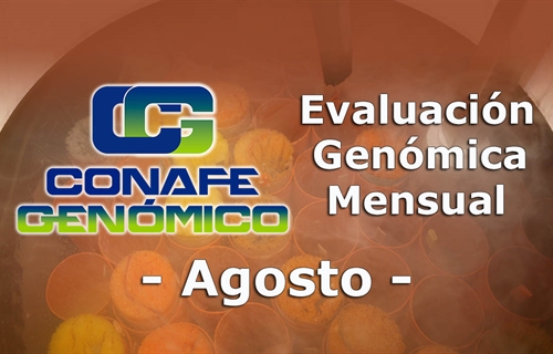 Nuevos toros genmicos con Prueba Oficial: Evaluacin genmica de...