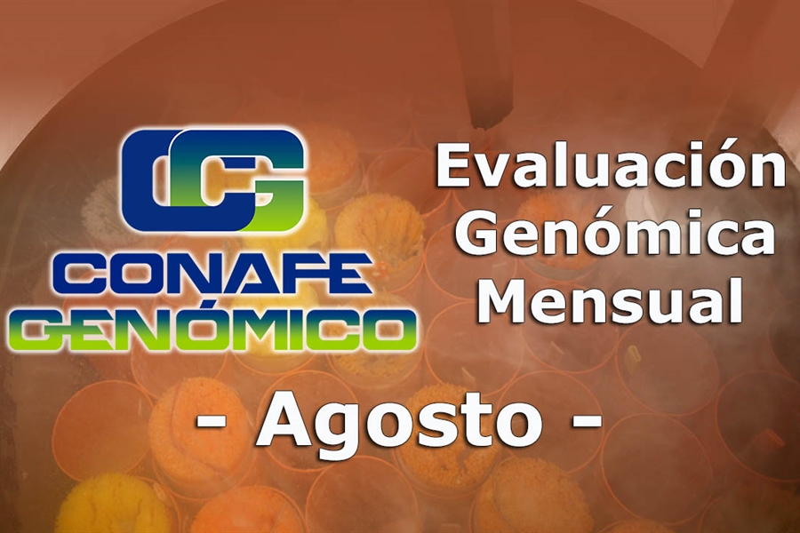 Nuevos toros genmicos con Prueba Oficial: Evaluacin genmica de...
