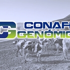 Actualización de las pruebas genómicas de Hembras CONAFE Agosto 2021
