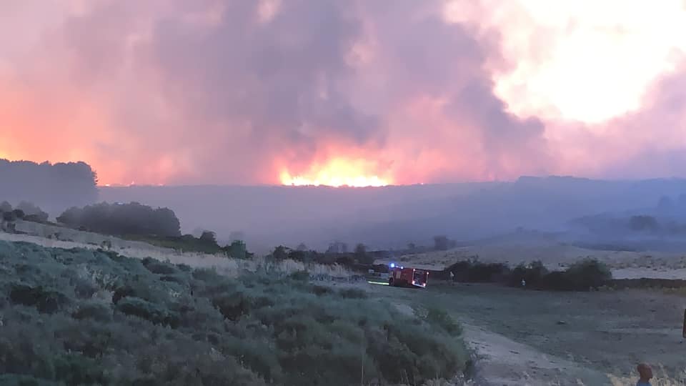 Los incendios de vila afectan principalmente a ganado vacuno, segn Asaja