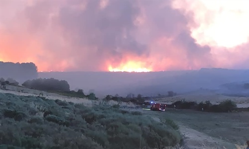 Los incendios de vila afectan principalmente a ganado vacuno, segn Asaja