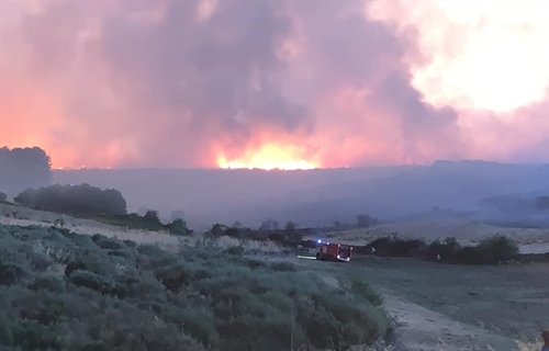 Los incendios de vila afectan principalmente a ganado vacuno, segn Asaja