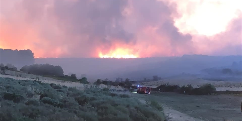 Los incendios de vila afectan principalmente a ganado vacuno, segn Asaja