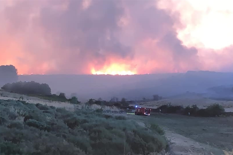 Los incendios de vila afectan principalmente a ganado vacuno, segn Asaja