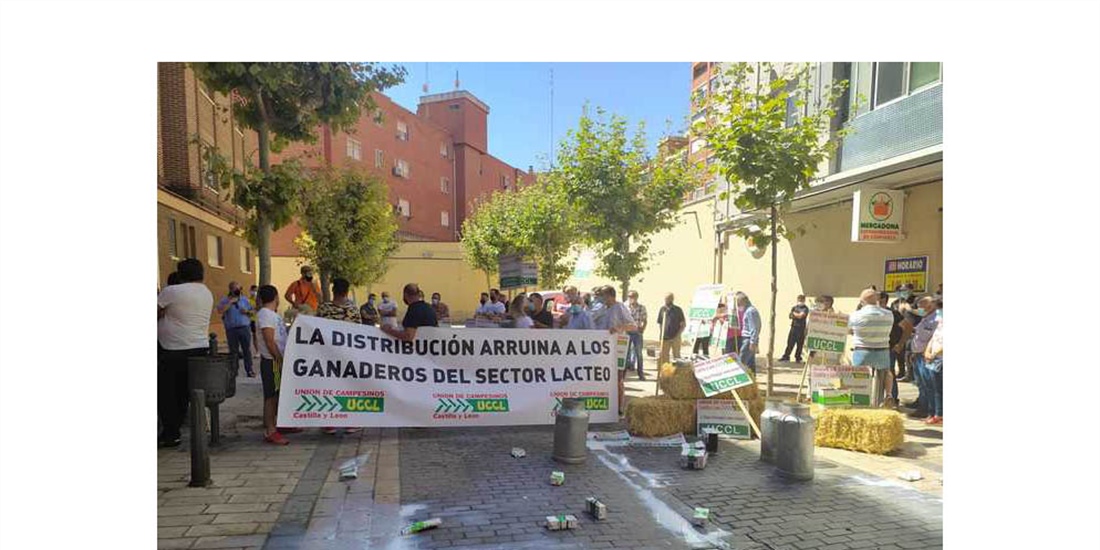Unin de Uniones ve "irrisoria" la subida del precio de la leche en...