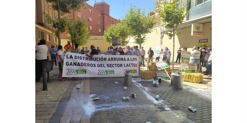 Unin de Uniones ve "irrisoria" la subida del precio de la leche en Mercadona