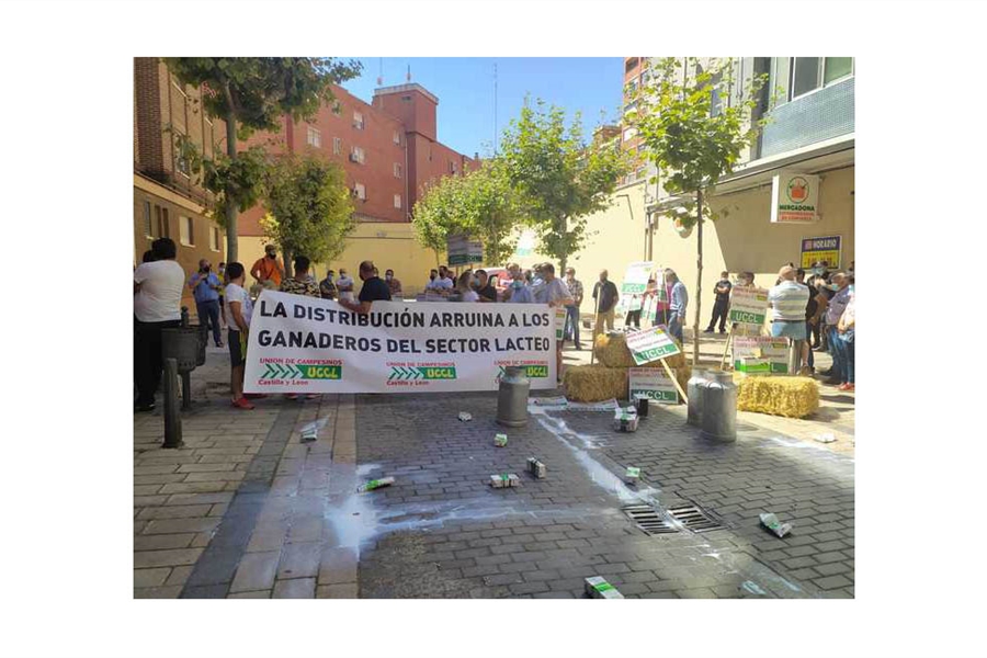 Unin de Uniones ve "irrisoria" la subida del precio de la leche en...