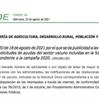Extremadura publica las resoluciones de ayudas al sector vacuno extremeño de la Solicitud Única