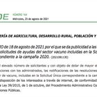 Extremadura publica las resoluciones de ayudas al sector vacuno extremeo de la Solicitud nica