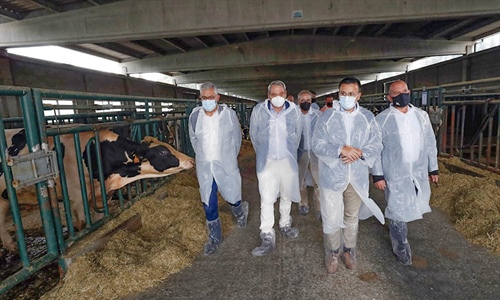Xentica Fontao producir un mnimo de 30.000 dosis anuales de semen...