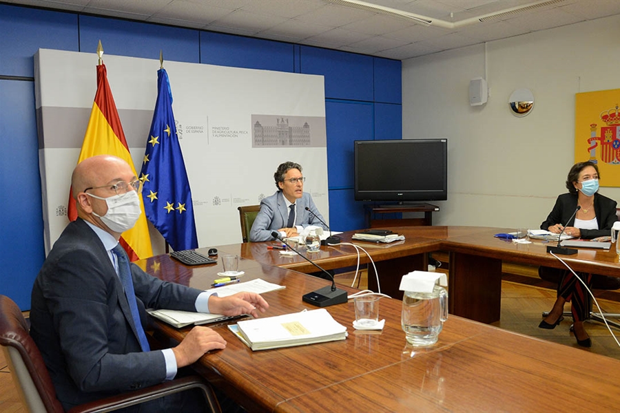 El Gobierno reanuda las reuniones con las CC. AA. para disear los...
