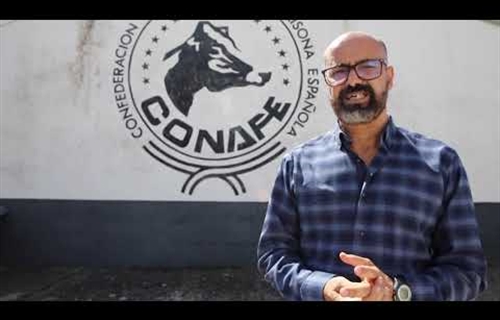 II Conferencia Internacional de Salud Podal y Bienestar Animal y I...