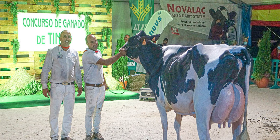 Coto 1st Grade Tiffany, Vaca Gran Campeona del Concurso de la Raza...