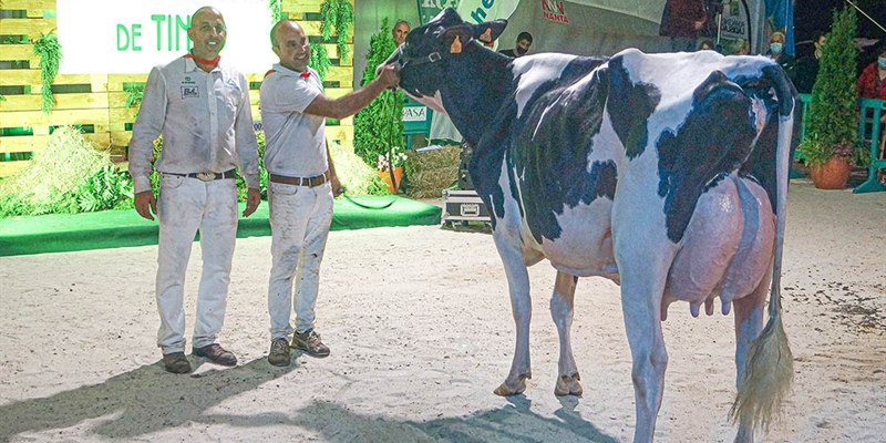 Coto 1st Grade Tiffany, Vaca Gran Campeona del Concurso de la Raza Frisona de Tineo 2021