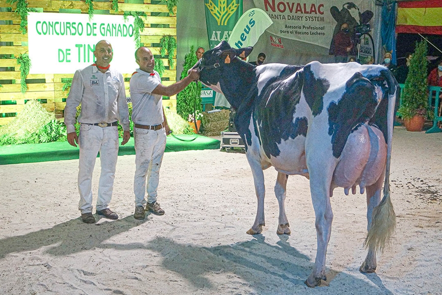 Coto 1st Grade Tiffany, Vaca Gran Campeona del Concurso de la Raza...