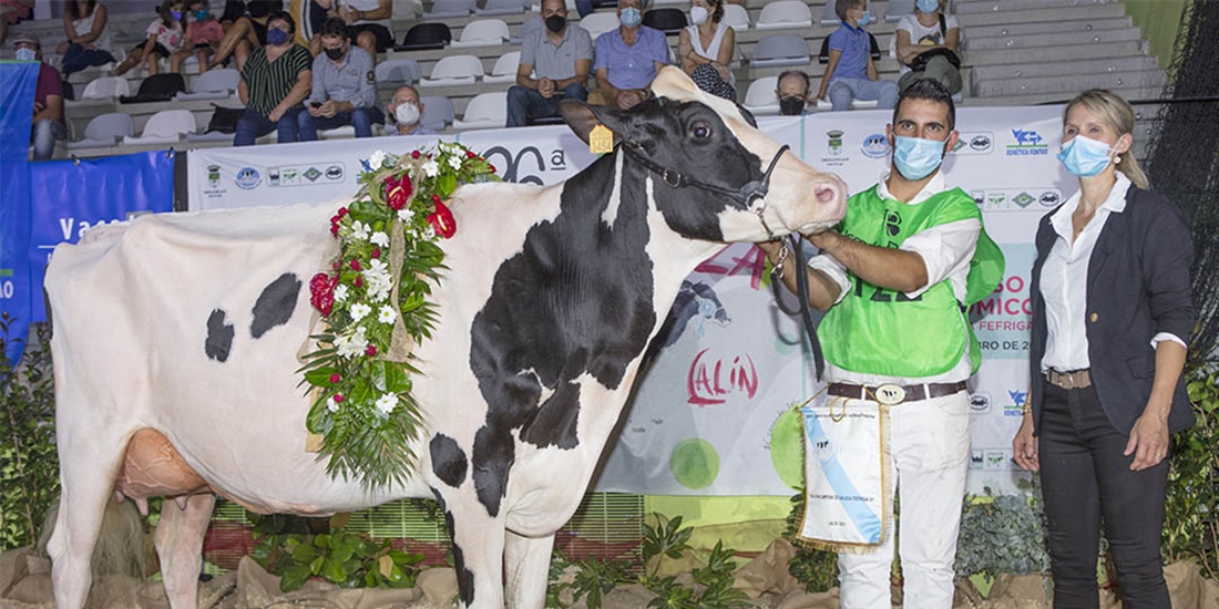 Rey 814 Beemer Yuri, Vaca Gran Campeona de Galicia 2021