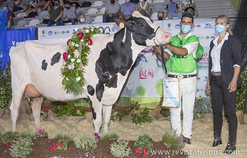 Rey 814 Beemer Yuri, Vaca Gran Campeona de Galicia 2021