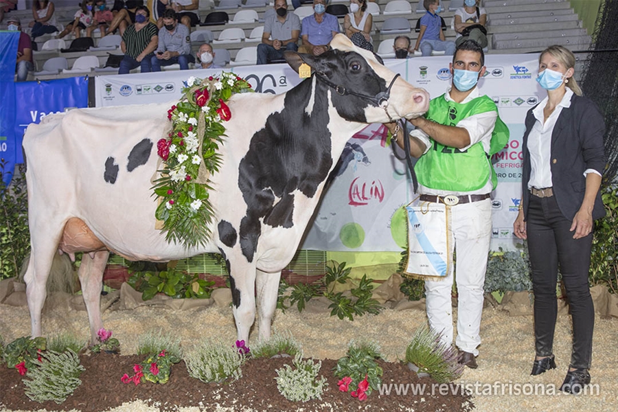 Rey 814 Beemer Yuri, Vaca Gran Campeona de Galicia 2021