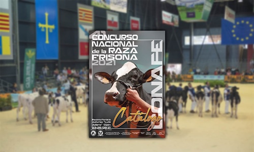 CONAFE celebrar el prximo sbado la 41 edicin del Concurso Nacional