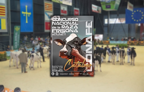 CONAFE celebrar� el pr�ximo s�bado la 41 edici�n del Concurso Nacional