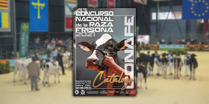 CONAFE celebrar el prximo sbado la 41 edicin del Concurso Nacional
