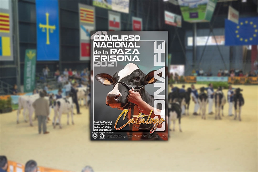 CONAFE celebrar� el pr�ximo s�bado la 41 edici�n del Concurso Nacional