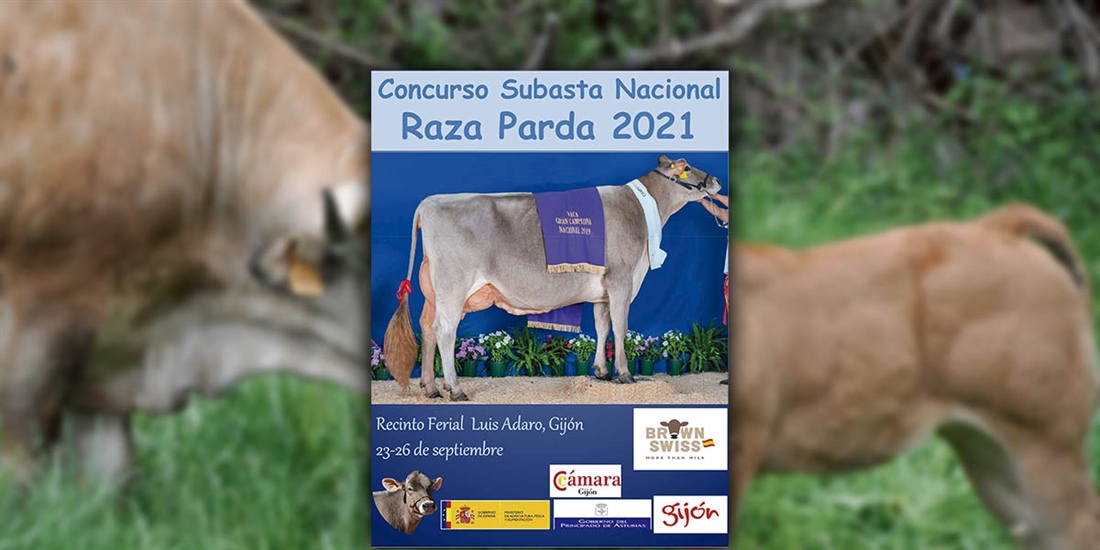 Concurso Subasta Nacional de la Raza Parda 2021