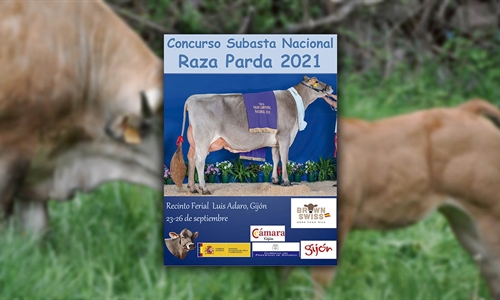 Concurso Subasta Nacional de la Raza Parda 2021